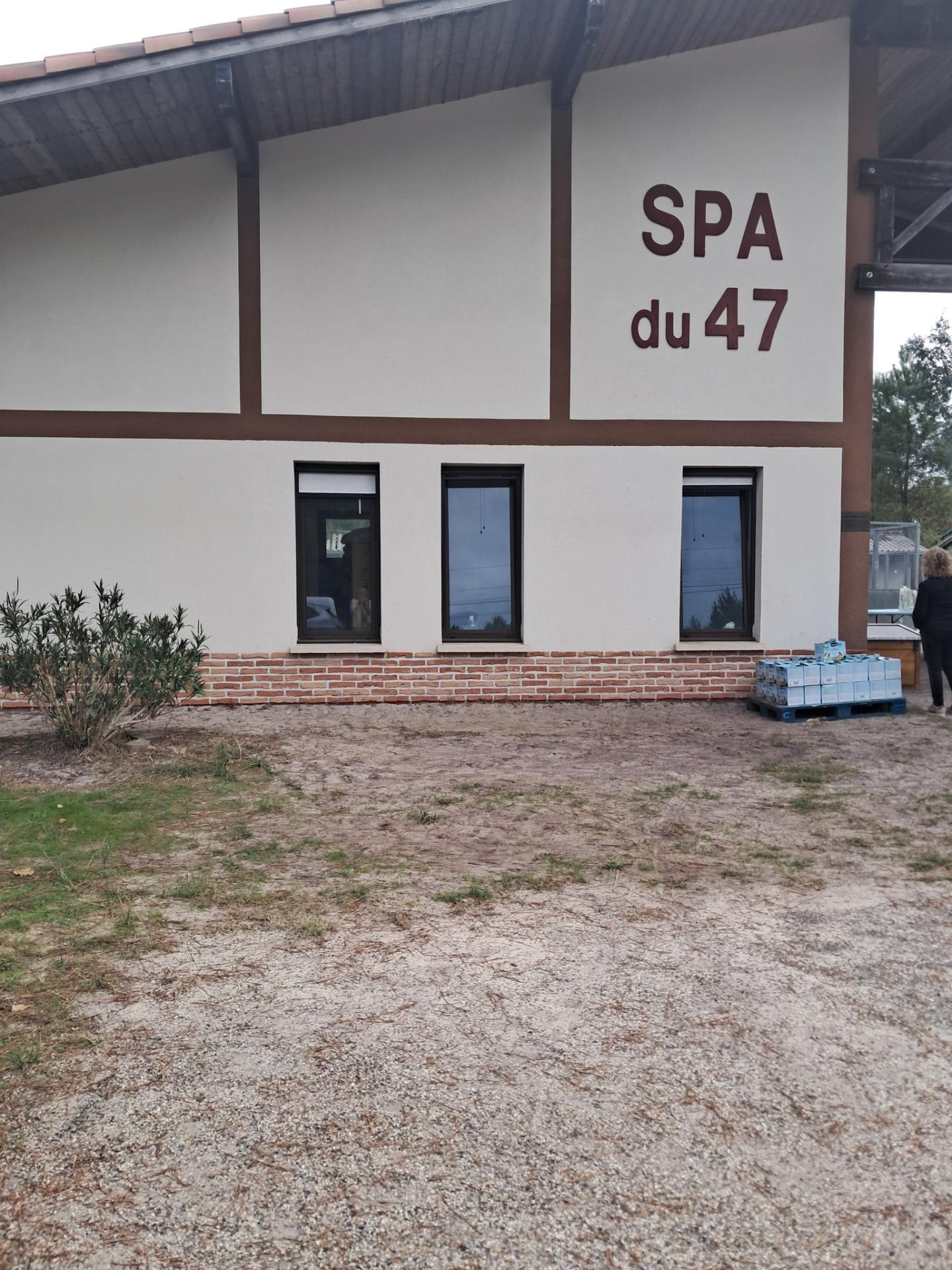 557623870 122129527382933386 8830542615077528700 n